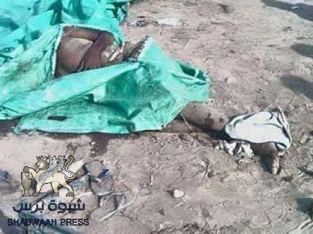قوات صالح والحوثي ترتكب مجزرة مروعة وتقتل اكثر من 50 شخصًا