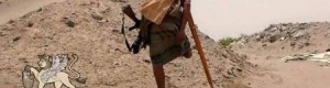اسقاط الدولة الجنوبية يسقط مشروعية الجهاد