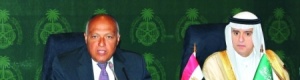 السعودية ومصر.. تنسيق الأدوار لحل أزمة اليمن