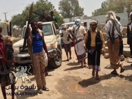 المقاومة الوطنية الجنوبية تتمكن من تحرير عدة بلدات في المنطقة الوسطى بأبين