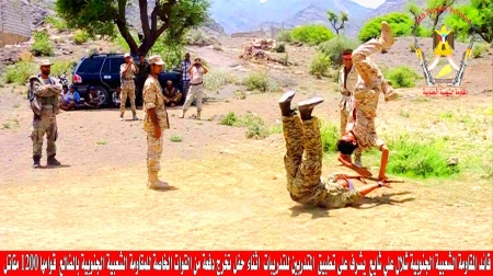 برلماني يمني: الحراك الجنوبي قاتل إلى جانب قوات صالح والحوثي التي اجتاحت الجنوب