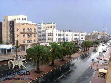 الشيخ الدغاري يدعو أبناء شبوه الى التوحد نبذ العنف والتخريبي
