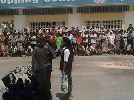 القاتل والمقتول شماليان : تنظيم القاعدة بالمكلا ينفذ حكم إعدام