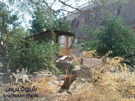 أوائل الدوابية في جعار