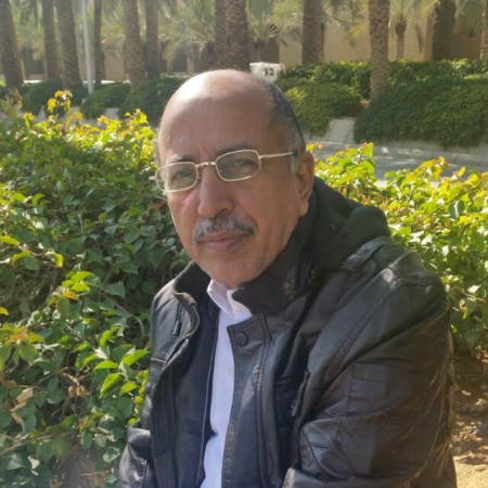 احد مشائخ شبوة يطالب الرئيس هادي ودول التحالف العربي بسرعة ايقاف السفن التي ترسوا بسواحل المحافظة