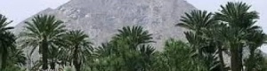 بيان هام صادر عن مجلس ابناء بيحان