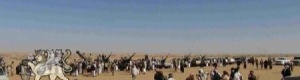 المقاومة تنتظر إشارة البدء لتحرير”بيحان” و”عسيلان” بشبوة