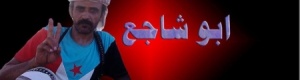 المقاومة الجنوبية تنفي أي تفاهمات على الانسحاب من بيحان