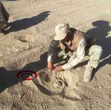 مواجهات عنيفة في عسيلان بشبوة.. والألغام تعيق تقدم المقاومة