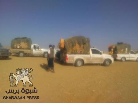 قرار منع القات يطبق عمليا في هضبة وساحل حضرموت (صور)