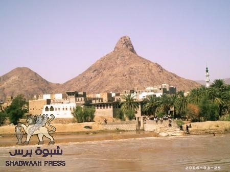 مناطق بيحان تشهد انتشارا كبيرا لوباء حمى الضنك