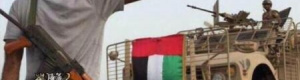 القوات الاماراتيه ستبقى لترتيب اوضاع المناطق المحررة وضرب الارهاب