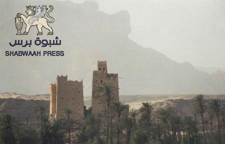 إحصائية بجرائم مرتكبة في شبوه منها 24 واقعة قتل