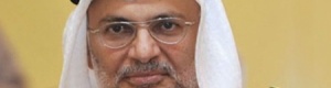 قرقاش: الإمارات تدرك مخاطر انهيار الدولة ومؤسساتها في عالمنا العربي