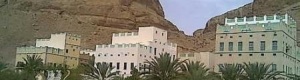 مقتل مواطن صباح اليوم غرب القطن