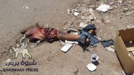 أسرة انتحاري عدن تكشف: الإخوان جندوه وعندما رفض تنفيذ عملية إرهابية أعدموه