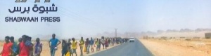 تقرير : الوضع الراهن للمهاجرين غير الشرعيين من القرن الافريقي في محافظة شبوة
