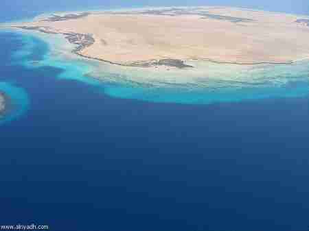 جهود إقليمية للحفاظ على بيئات غابات البحر الأحمر وخليج عدن