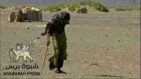 خور عميرة .. شبح الموت يداهم شيمة العفاف (صور)