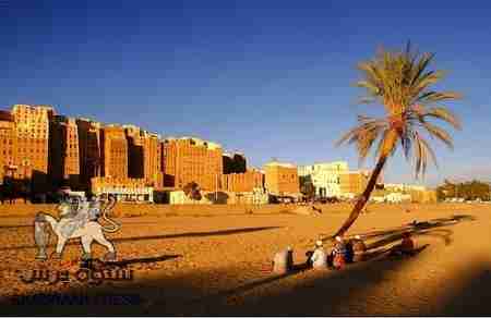 مطالب حضرموت يحددها أبناء حضرموت في الداخل والخارج ولا تحددها فئة دون أخرى