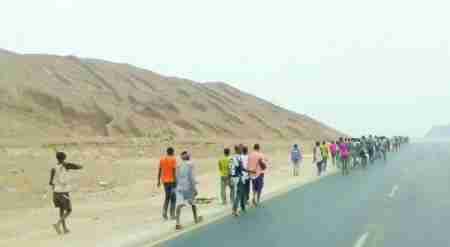 وصول أكثر من 91 ألفا من النازحين من دول القرن الأفريقي إلى سواحل حضرموت وشبوة .