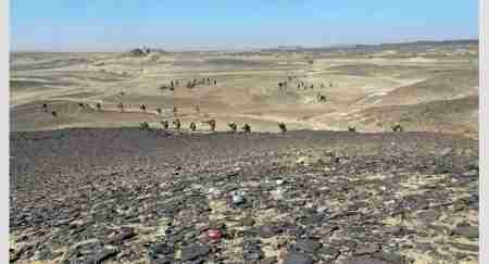 إنقاذ وادي حضرموت من السقوط بيد الإرهابيين ! (تقرير)