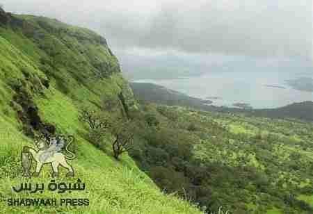 شرطة المهرة تلقي القبض على مروجي حشيش وخمر