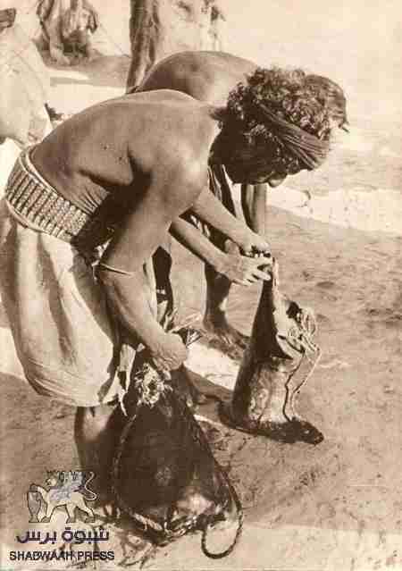 اليهم مع التحية : حلف قبائل حضرموت و المؤتمر الجامع :