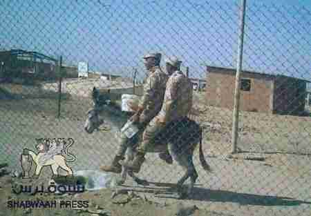 ستتعب الشرعية والتحالف في البحث شمالا عن أصحاب قضية