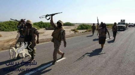 المقاومة الجنوبية تستكمل تمشيط ذوباب وتواصل تقدمها باتجاه المخاء