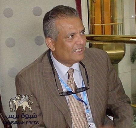 سياسي واعلامي جنوبي : الاستقرار في عـدن لن يتحقق إلا بإلغاء مجالس وائتلافات المقاومة
