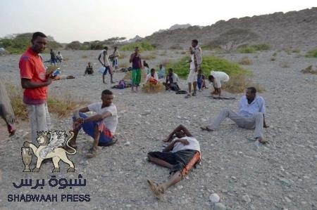 قلق أممي من تدفق المهاجرين على اليمن رغم الحرب