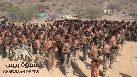 بناء المؤسسات العسكريه والخدماتية والايرادية ضمان استقلال شعب الجنوب