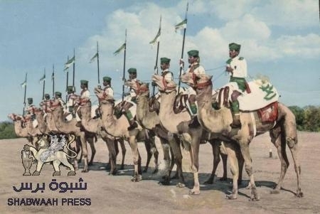 إلى القائمين على قوات النخبة .. ولكم في النظام العسكري بالجنوب لقدوة ؟؟