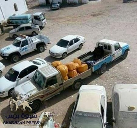 اليمنيون يغزون سلطنة عمان بالقات