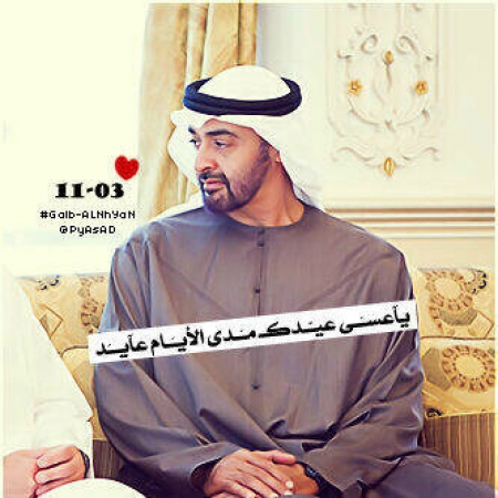 مغردون إماراتيون يحتفلون بميلاد #أسد_الإمارات ‘‘محمد بن زايد‘‘