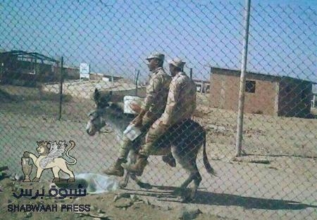 سياسي يمني : جيشنا كان سيئاً وقبيحاً لأبعد مدى .. لا يطلق النار إلآ حين يستدير للخلف !!