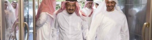 محمد بن زايد: الإمارات والسعودية تقفان معا في خندق واحد