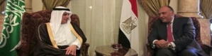 مصر والسعودية.. تعاون وثيق في وجه الإرهاب