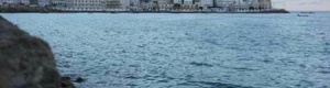 أمن المكلا يلقي القبض على عنصر إرهابي في المكلا