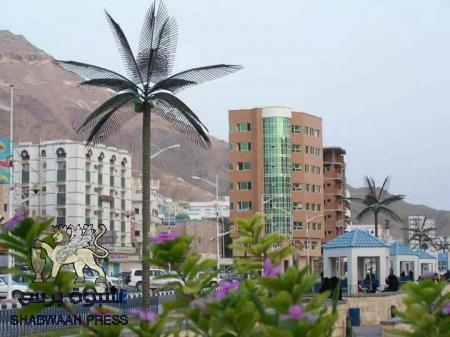 يموت الناس في حضرموت جوعاً وخيراتها تأكلها الكلاب