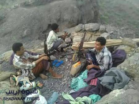 المقاومة الجنوبية تسيطر على جبل الخزان المطل على البرح