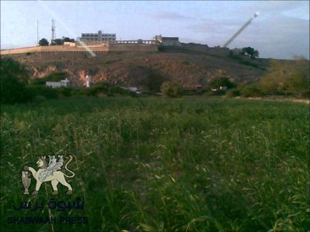 جعار زهرة الجنوب