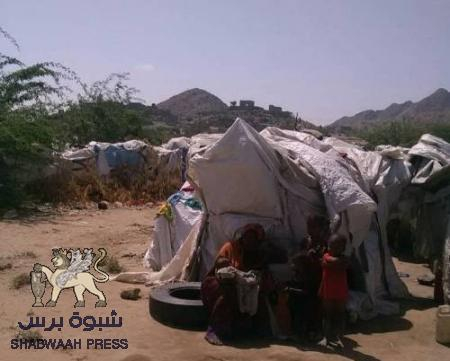 (659) أسرة نازحة من طور الباحة وحكومة الشرعية والاصلاح مشغولة بتقاسم الاموال والهبات وممارسة الفساد (احصائية)