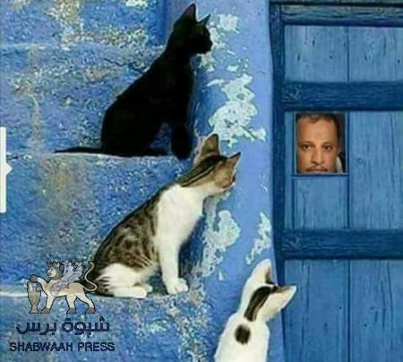 لأنني من أبين. .هكذا يريدون لي أصحاب الدفع المسبق