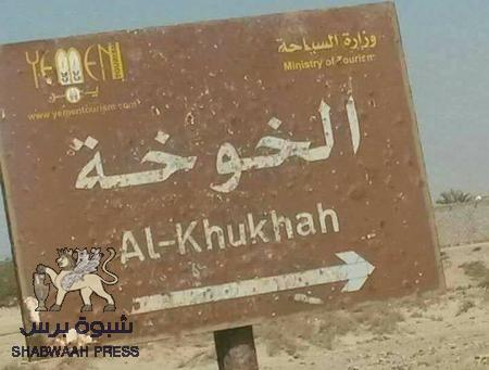الحياة تعود لمدينة الخوخة بعد طرد الحوثيين منها.