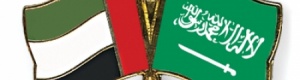 اليمن واحتواء الاختلاف.. بوحدة الموقف السعودي الإماراتي