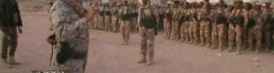 قوات النخبة الشبوانية تقضي على ما تبقى من عناصر القاعدة