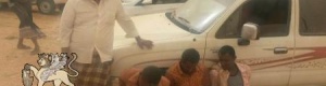 القاء القبض على عصابة سرقة سيارات من قبل النخبة الشبوانية محور حراد