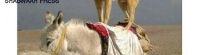 ثلاث سنوات من الانتصارات في إعلام حزب الاصلاح ومكاننا في نهم